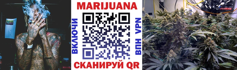 купить  сайты  Гвардейск  Шишки марихуана Amnesia 